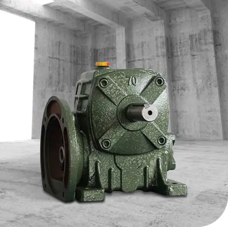 WP vermis calces reducer